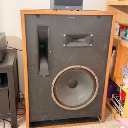 Vintage DIY Speakerlab Style Speakers – 15” Woofer + Horns 🔊