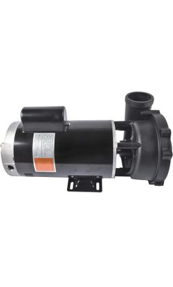 Spa and pool pump