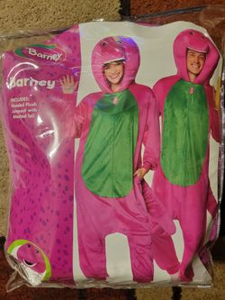 Barney Costume