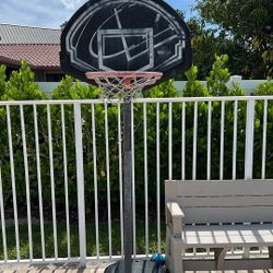 Basket Ball Hoop