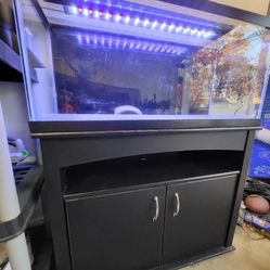 Black Fish Tank 30 Gallon Long 