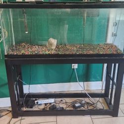 Fish Tank 55gallons