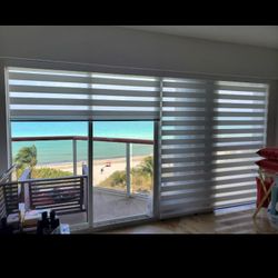 Zebra O Roller Shades Screen O Blackout 