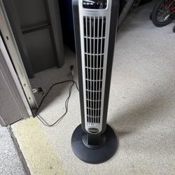Fan