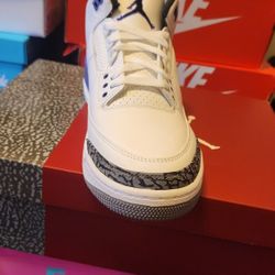 Air Jordan 3 Dark Iris 11.5 