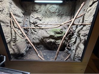 **Toad Ranch 4'x2'x4' Arboreal Reptile enclosure  w/ Universal Rocks Background**