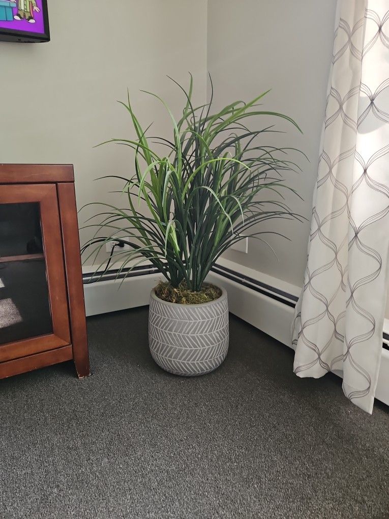 Fake Plant