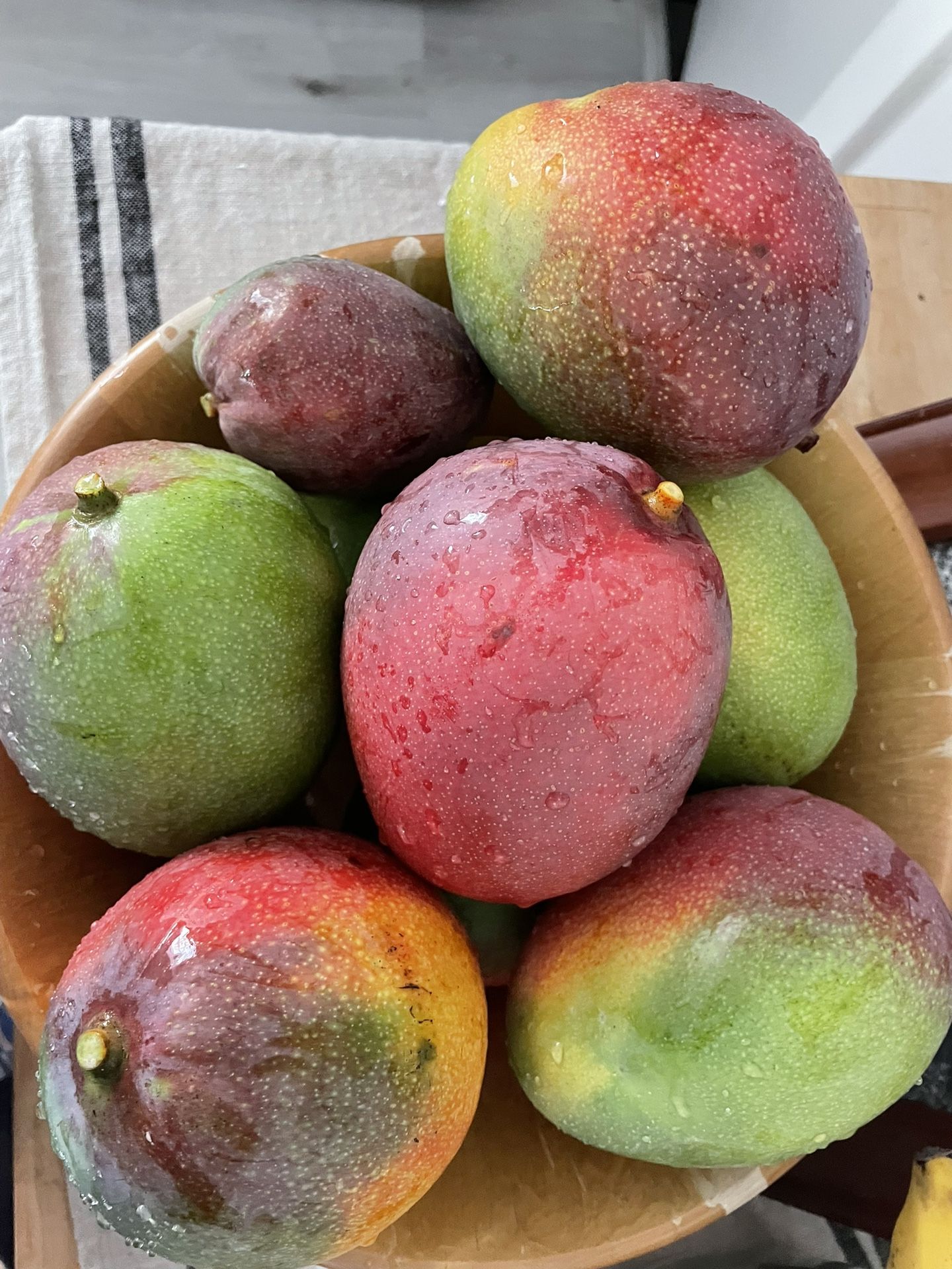 Organic Mangoes Florida Grown🥭 $2