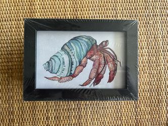 Art - Hermit Crab - Ocean Art