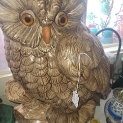 Large Owl