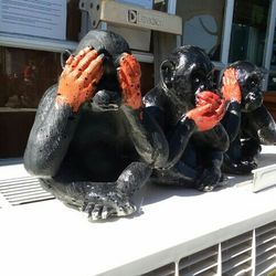 3 Monkeys