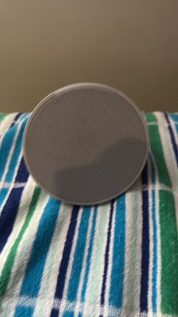 echo alex speaker
