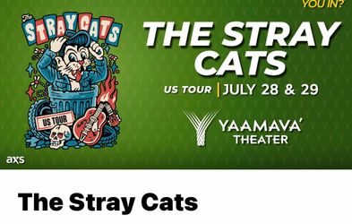 7/29 Stray Cats