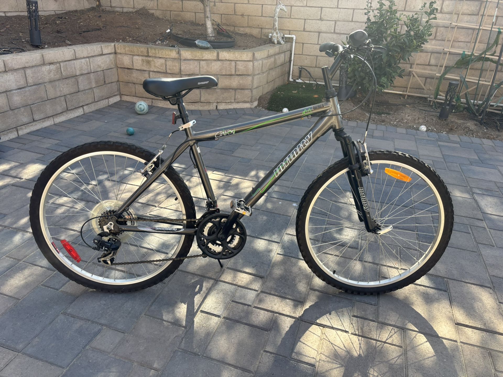 Adult Bike