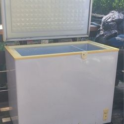 Chest Freezer 