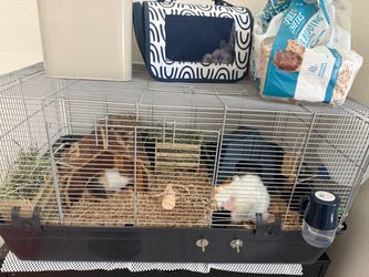 Small Animal Cage with Accessories