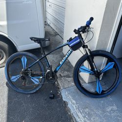 Custom Bicycle 