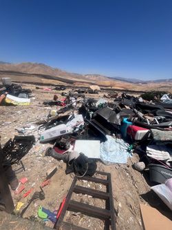 Dumpster dump