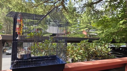 bird cage
