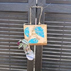 Rustic wall decoration with little plant 🪴