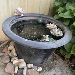 Free Fish tank And Fish 