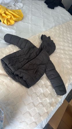 Zara toddler jacket