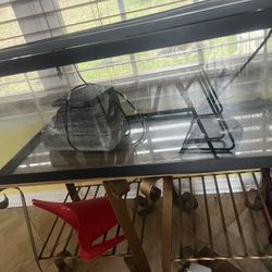 Fish/ Turtle Tank