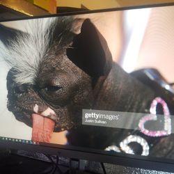 Hp E273q UHD 2k Widescreen Monitor 