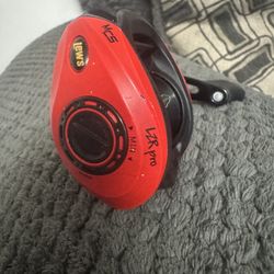 Lews Fishing Reel