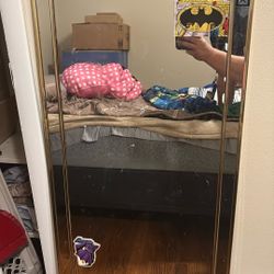 Full Size Heavy Duty Mirror 