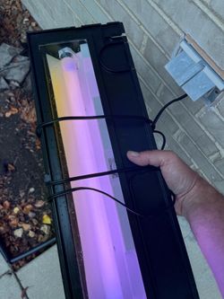 New  10 gallon tank with items
