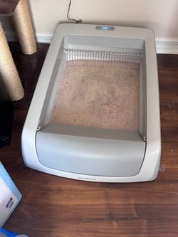Pet safe scoop free cat box