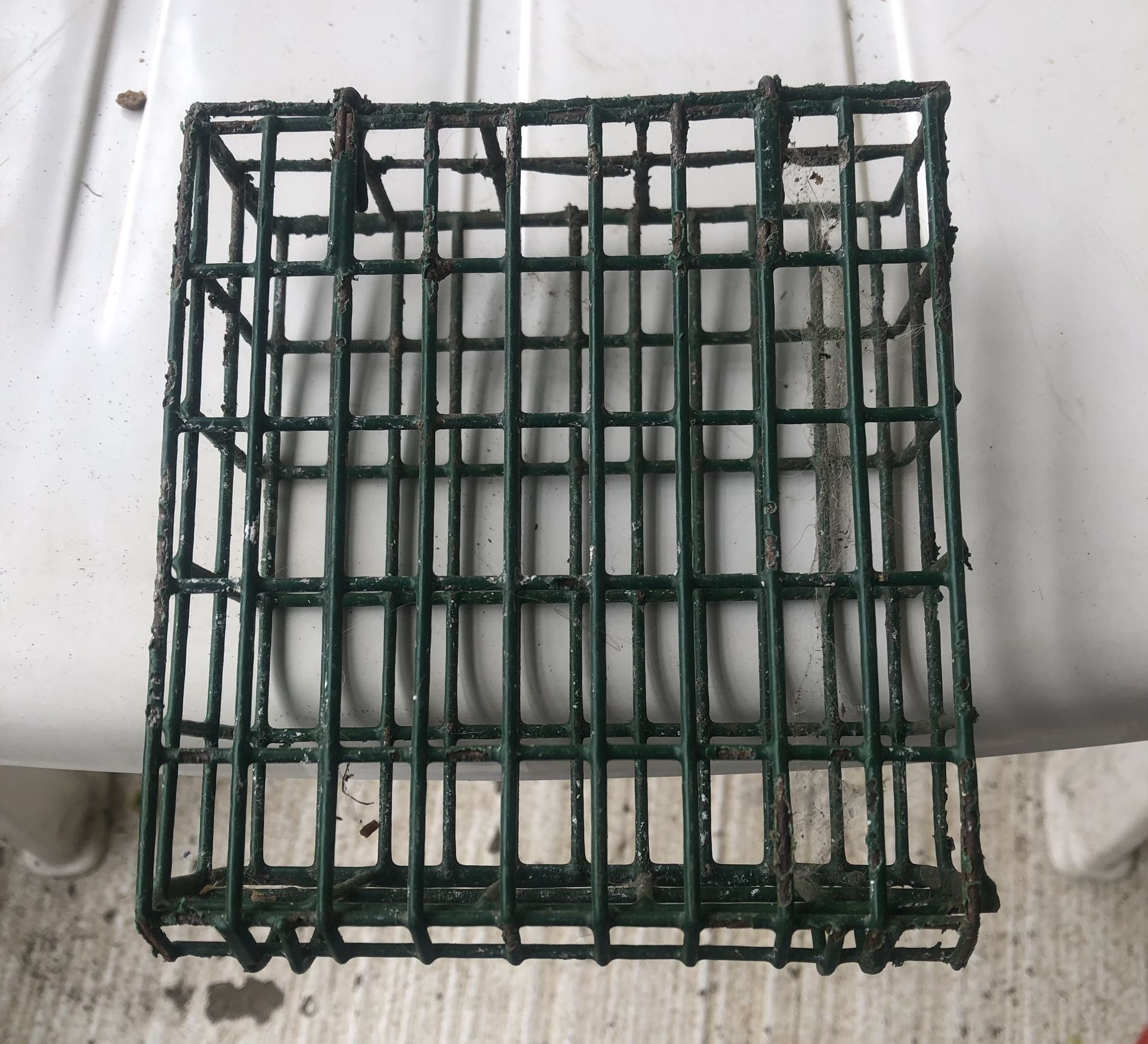 Suet Cage Bird Feeders (set of 3)