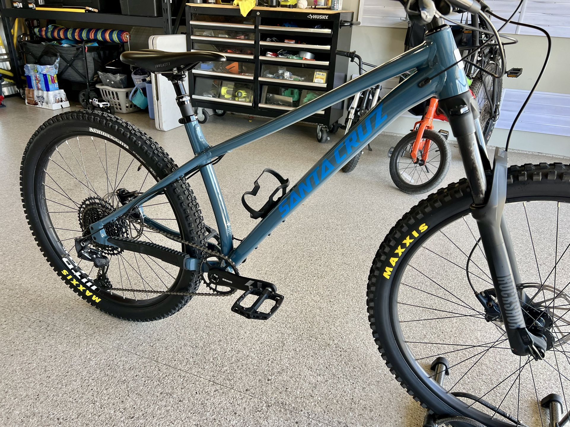 Santa Cruz Chameleon 