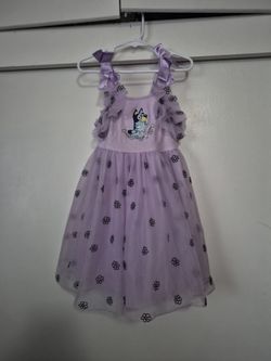 Bluey dress 5t