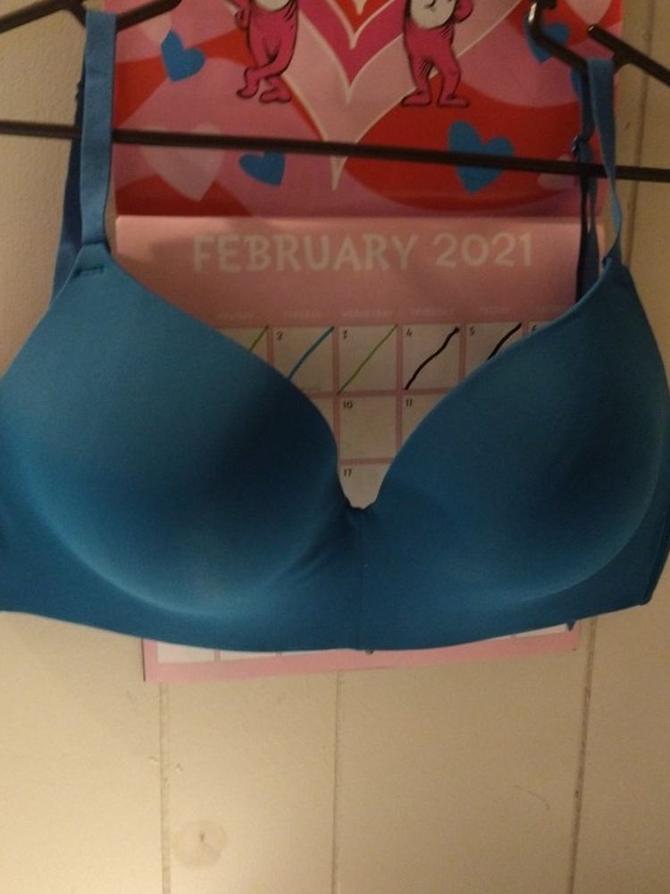 Secret Treasures Bra Size 36 Double D (Brand New)