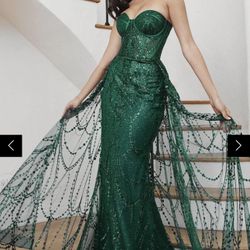 NWT Elegant Long Gown