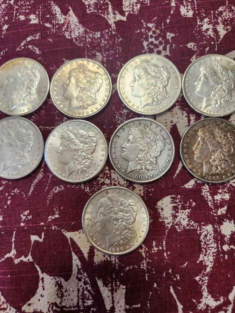 Morgan's Silver Dollars $75 Each