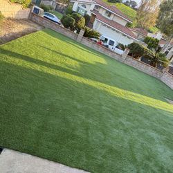Turf
