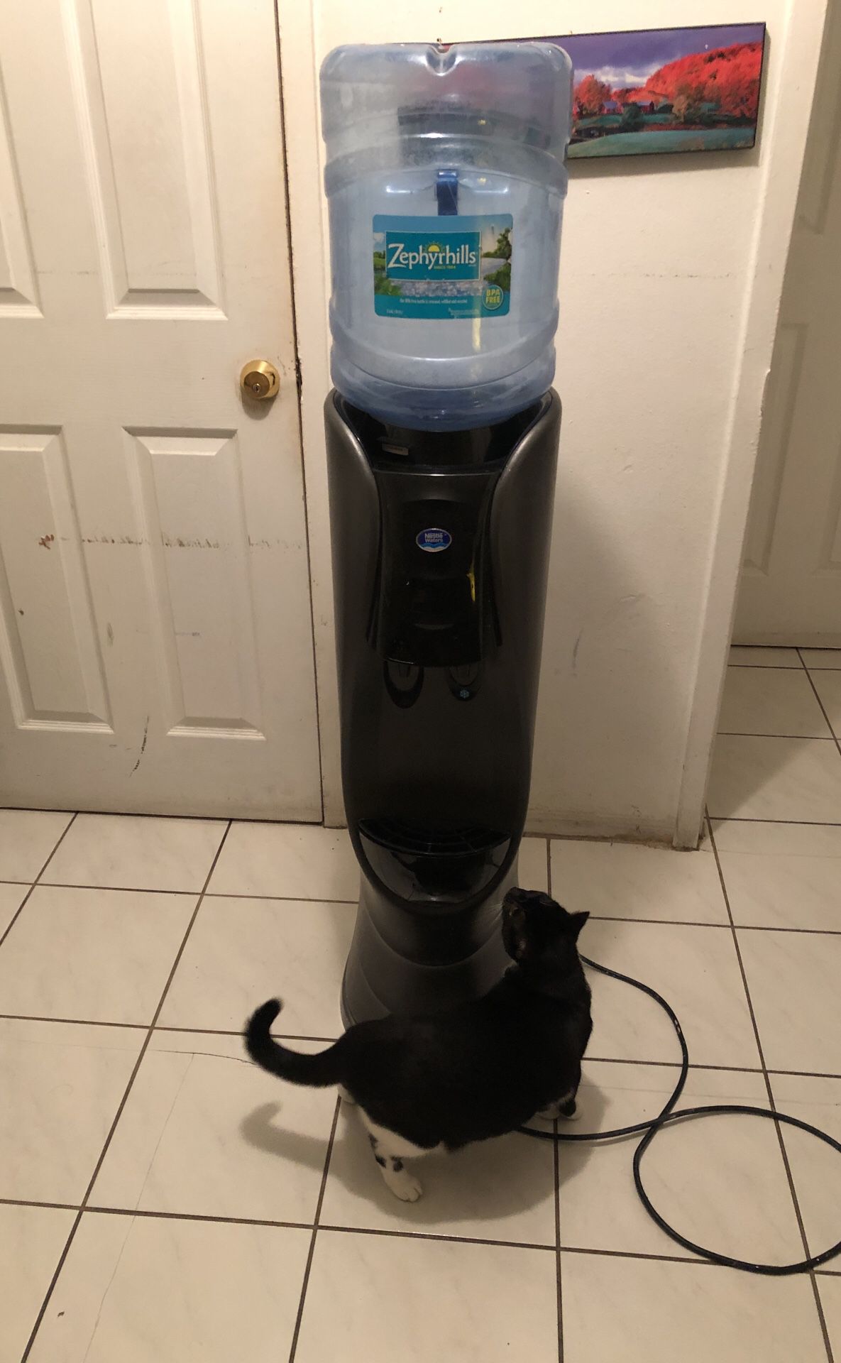 Dispenser water machine