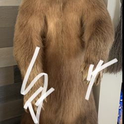 Tax- Idermy bear 
