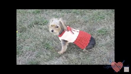 Crochet dress for small dog