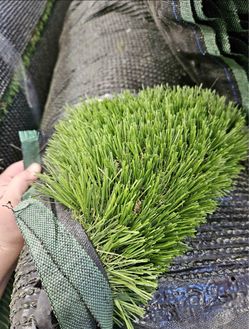 Great Quality Turf