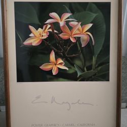 Framed Art/Photography