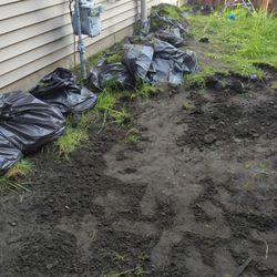 Free  Garden Ground 
