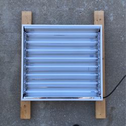 Plant Grow Light