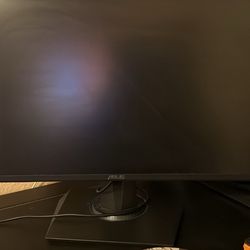 ASUS Monitor for work