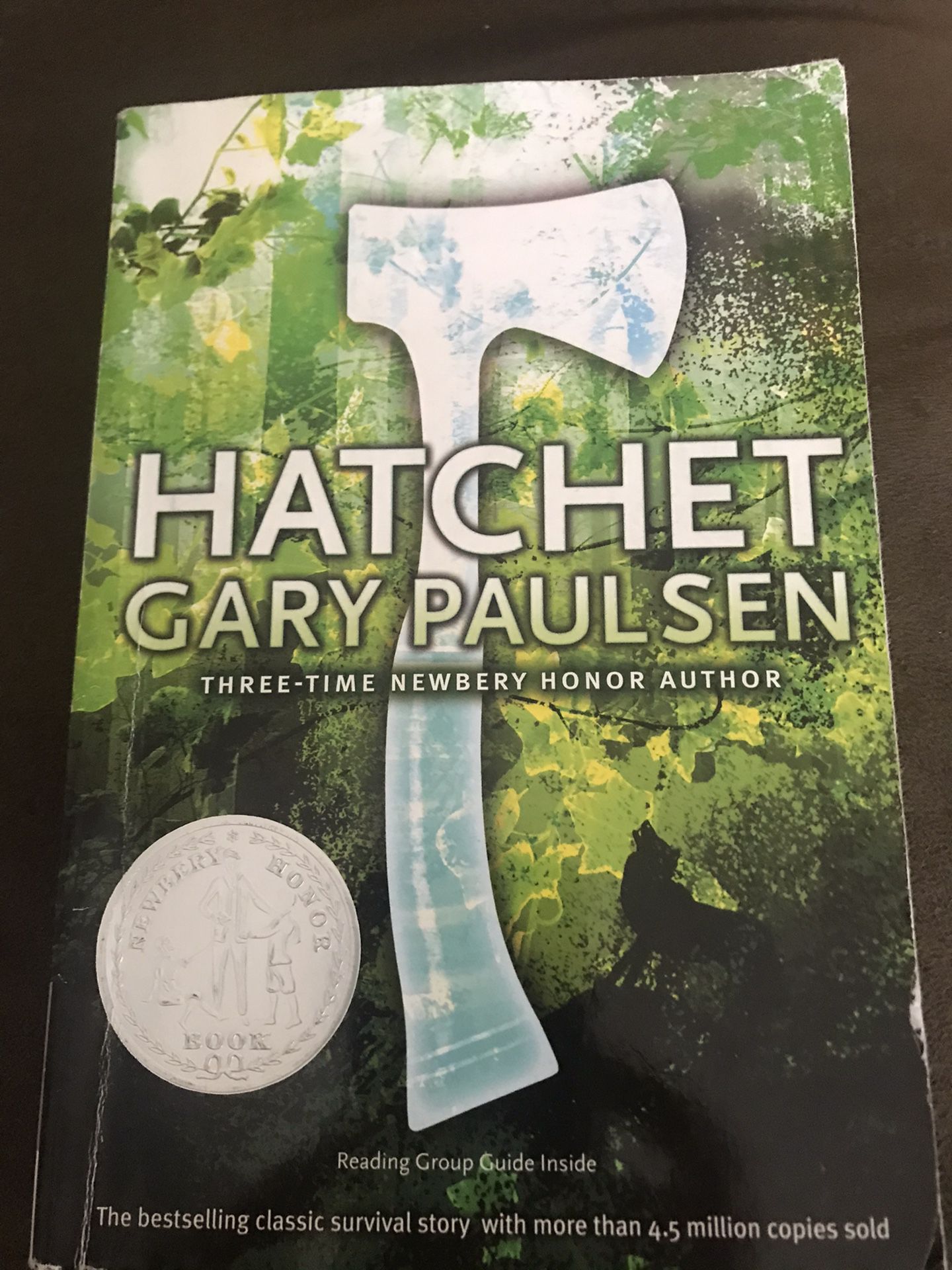 Book: Hatchet by Gary Paulsen paperback book