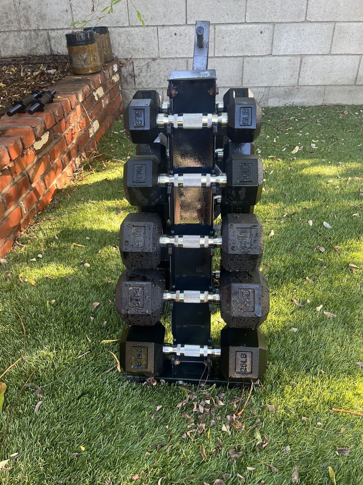 Dumbbells Set With Rack 5lbs-25lbs