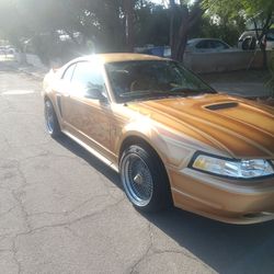 2000 Ford Mustang